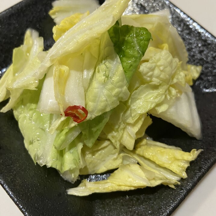 白菜の白だし浅漬け